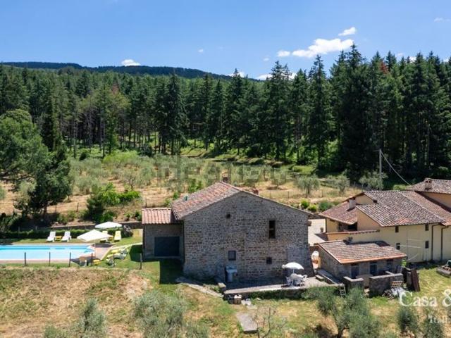 Rustico in vendita a Unione di Comuni Valdarno e Valdisieve, Pelago