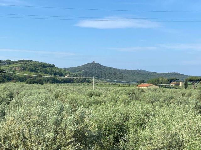 Rustico in vendita a Bolgheri, Toscana