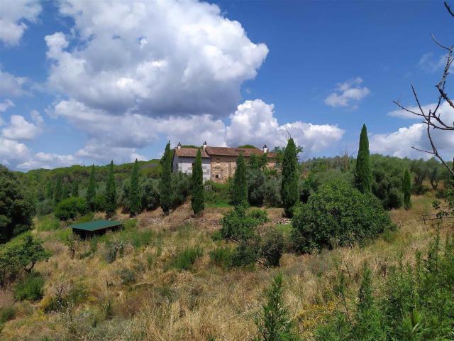 Rustico in vendita a Unione dei Comuni Circondario dell'Empolese Valdelsa, Empoli
