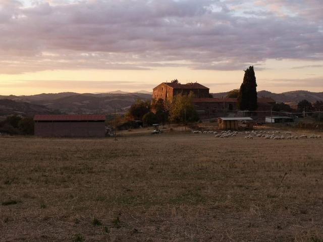 Rustico in vendita a Unione dei Comuni Montani Amiata Grossetana, Roccalbegna