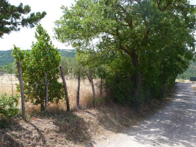 Rustico in vendita a Radicofani, Toscana