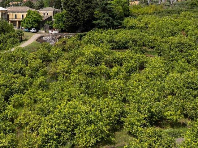 Rustico in vendita a Giarre, Sicilia