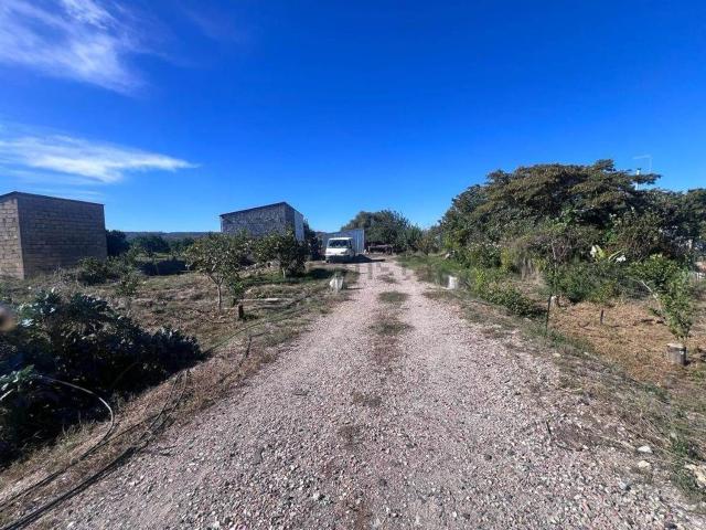 Rustico in vendita a Francofonte, Sicilia