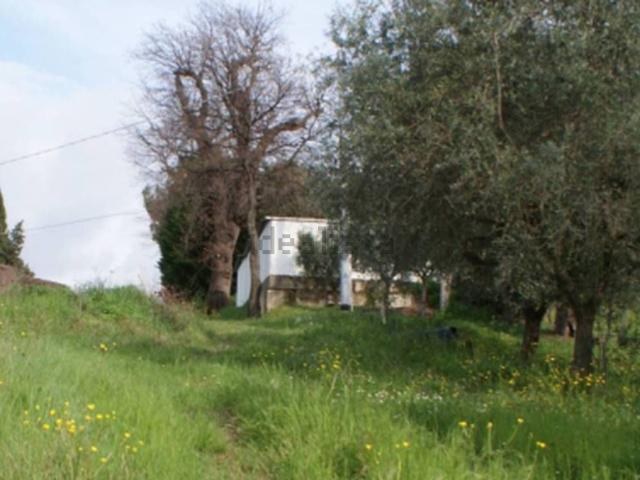 Rustico in vendita a Marche, Macerata