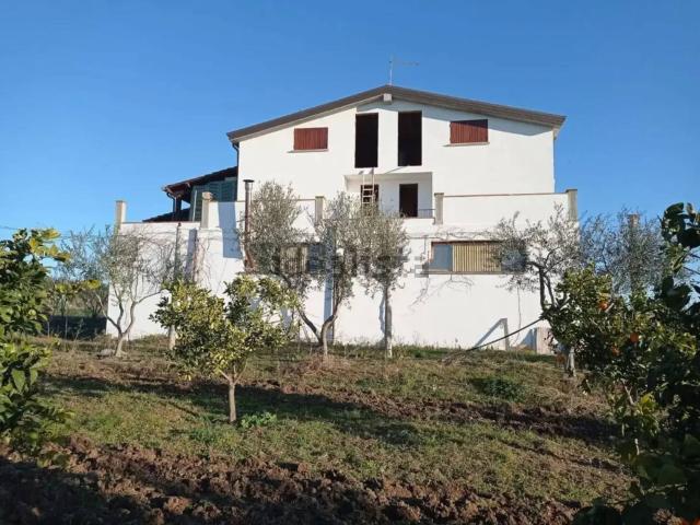 Rustico in vendita a Bernalda, Basilicata
