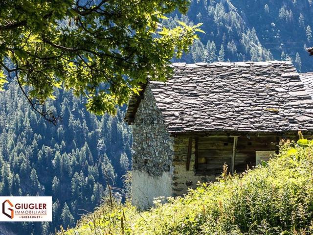 Rustico in vendita a Gressoney Saint Jean, Aosta