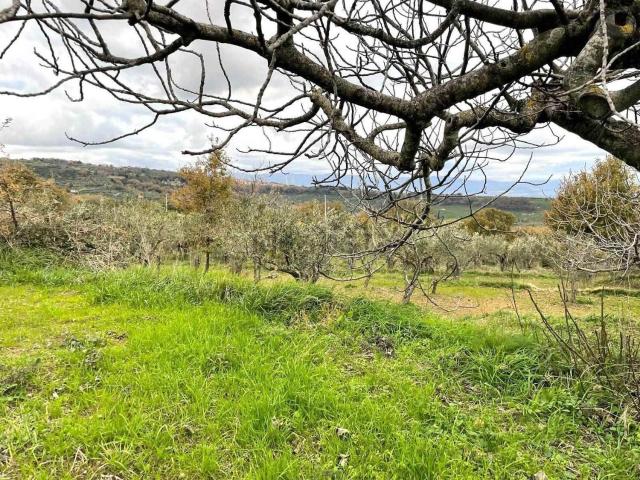 Rustico in vendita a Calabria, Catanzaro