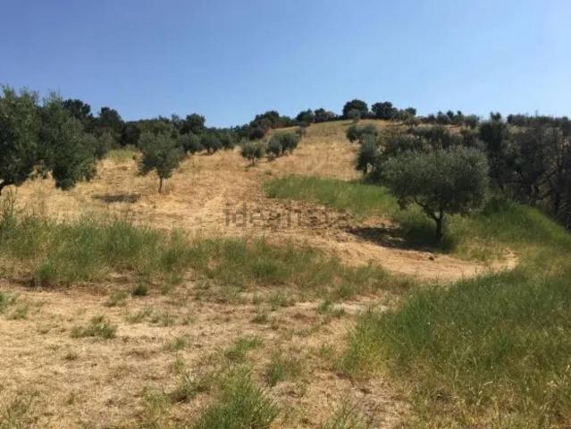 Rustico in vendita a Calabria, Cosenza