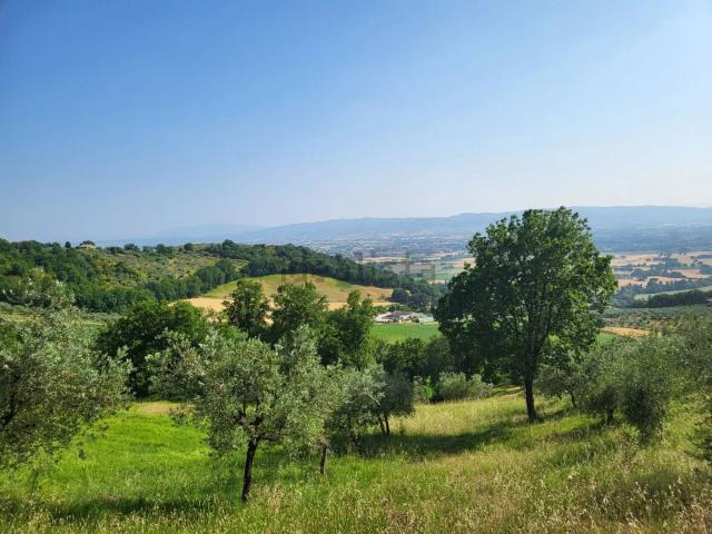 Rustico in vendita a Col d'Erba III, Assisi