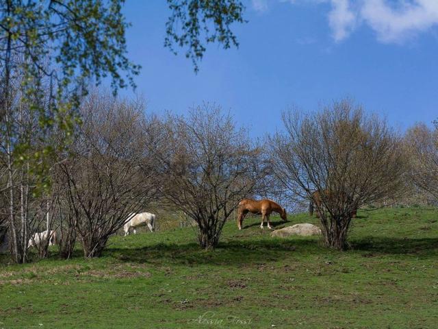 Rustico in vendita a Zandobbio, Lombardia