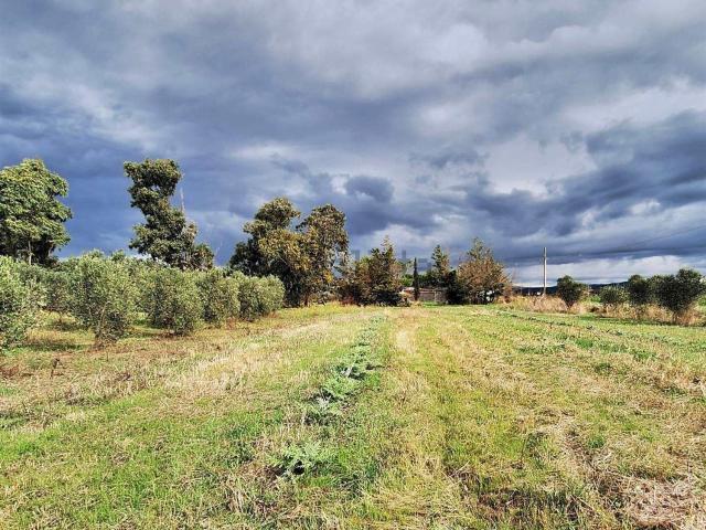 Rustico in vendita a Piombino, Toscana