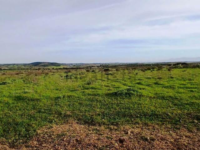 Rustico in vendita a Serdiana, Sardigna/Sardegna