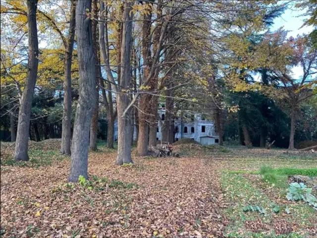 Rustico in vendita a Mogliano Veneto, Veneto