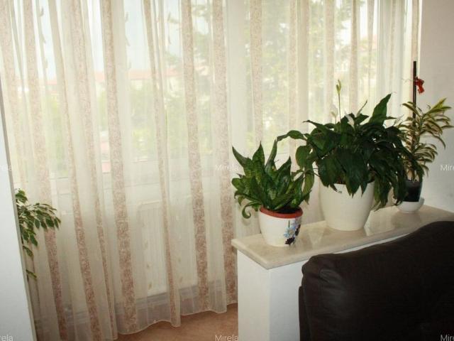 Apartament închirieri în Timisoara, Timiș