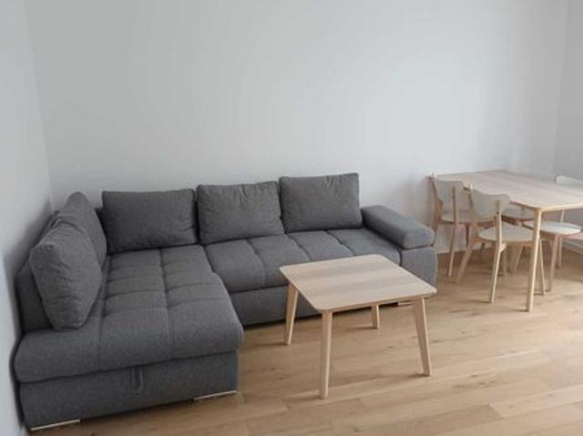 Apartament închirieri în Timisoara, Timiș