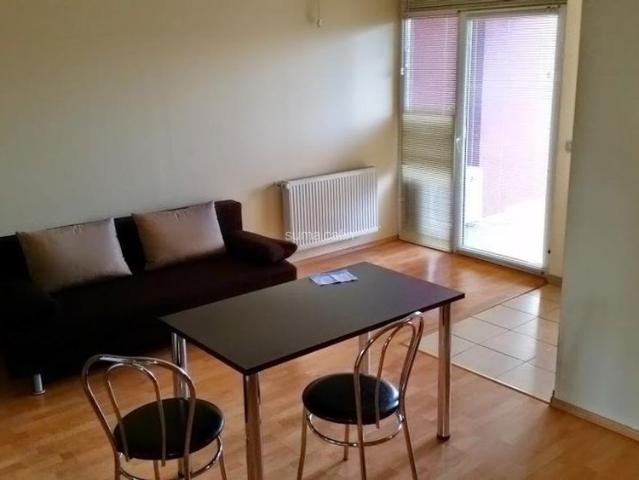Apartament închirieri în Timisoara, Timiș