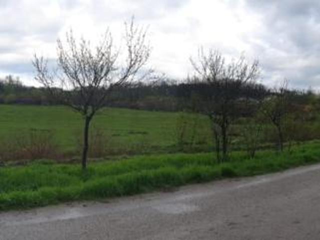 Teren vânzări în Timisoara, Timiș