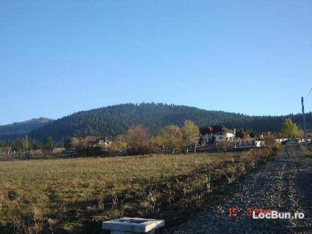 Teren vânzări în Covasna