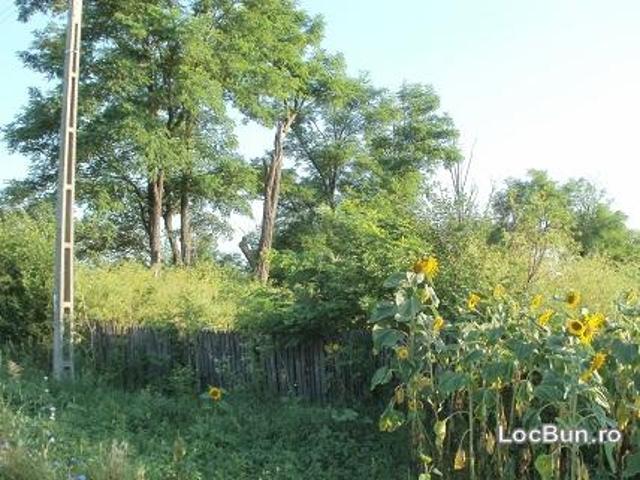 Teren vânzări în Romani