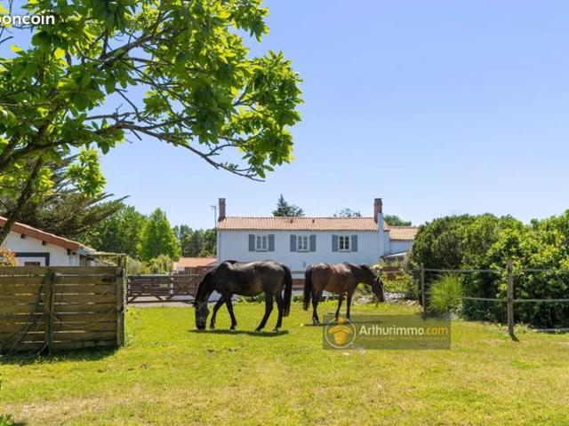 Maison vente à Les Sables-d'Olonne, Bois-de-céné