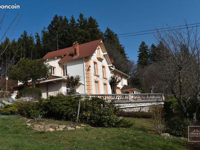 Maison vente à Saint-Clément-sur-Valsonne, Rhône