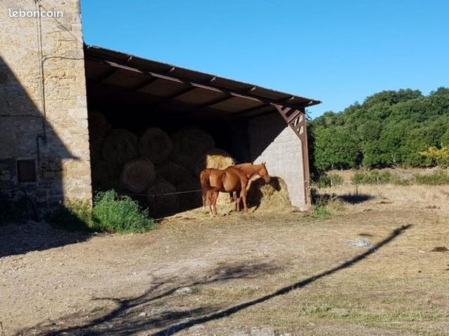 Maison vente à Millau, Saint-affrique