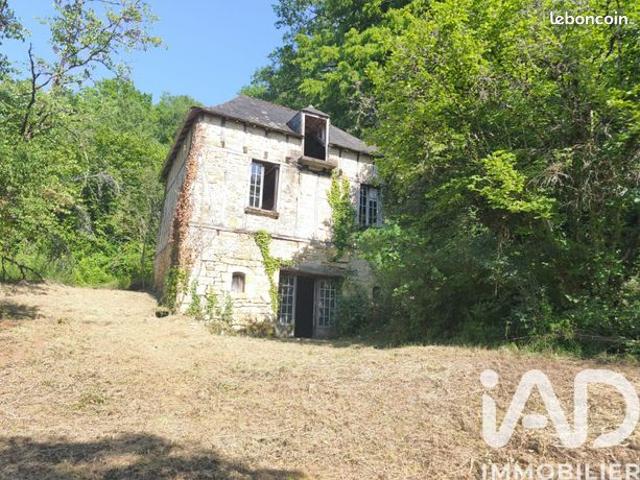 Maison vente à Sarlat-la-Canéda, Terrasson-lavilledieu