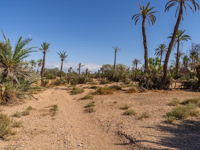 Propriété vente à Marrakech ⵎⵕⵕⴰⴽⵯⵛ مراكش, Préfecture de Marrakech عمالة مراكش