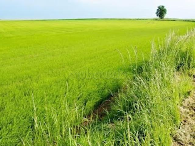 Propriété vente à Sidi Moussa, L'Oriental
