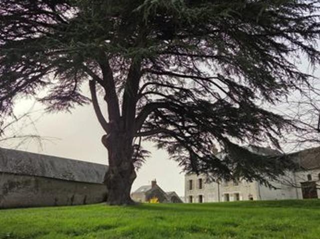 Maison vente à Orléans, Tavers