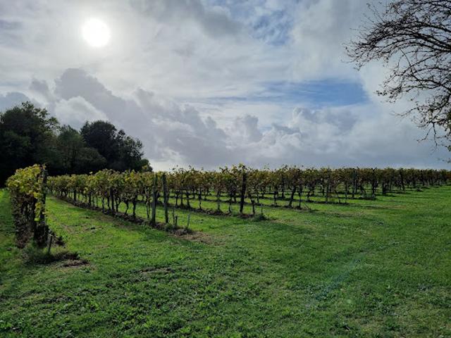 Maison vente à Jonzac, Vanzac