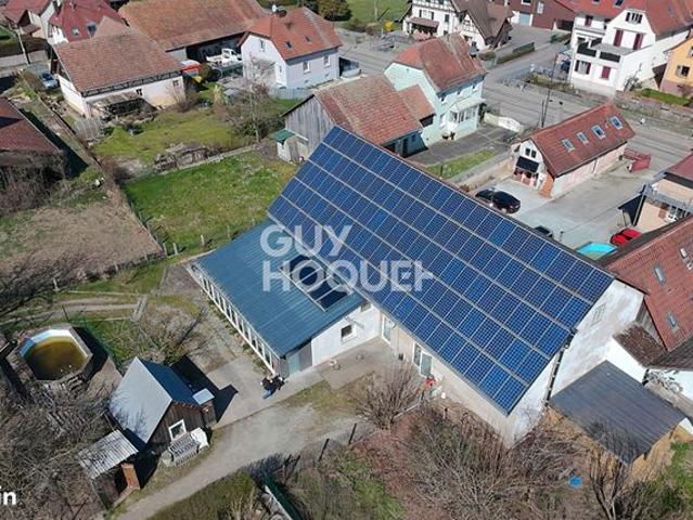 Maison vente à Aspach-le-Bas, Collectivité européenne d'Alsace