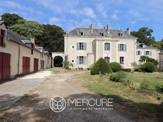 Château vente à Le Blanc