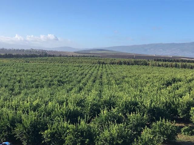 Propriété vente à Mimouna
