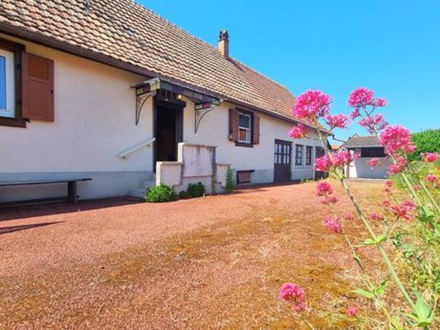 Maison vente à Sélestat-Erstein, Hilsenheim