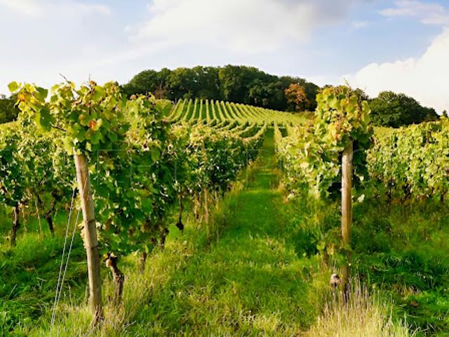 Maison vente à Condom, Nogaro