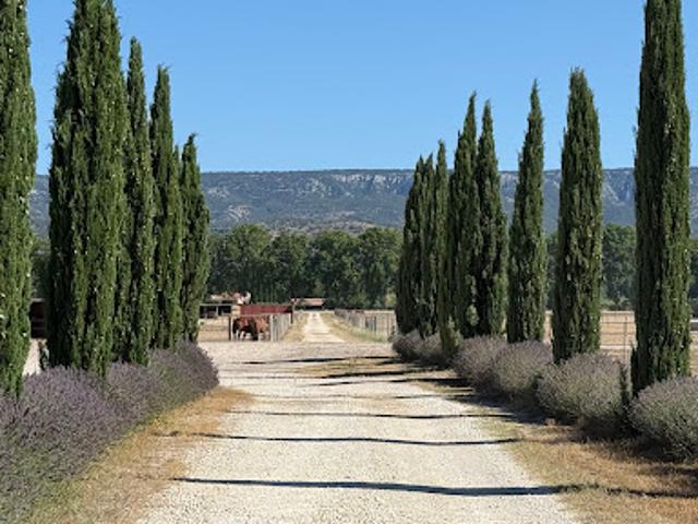 Maison vente à Aix-en-Provence, Mallemort