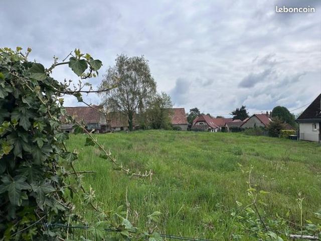 Maison vente à Mulhouse, Eschentzwiller