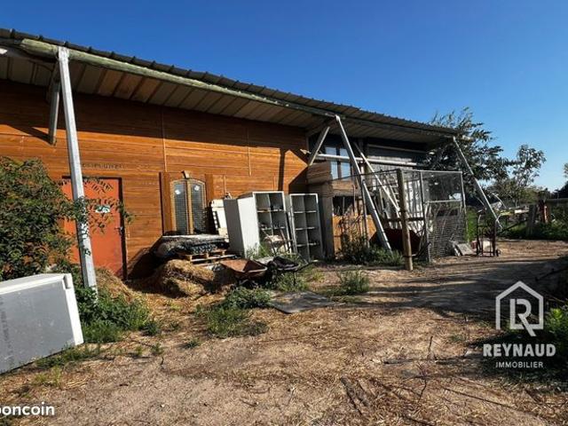 Maison vente à Lodève, Le Pouget