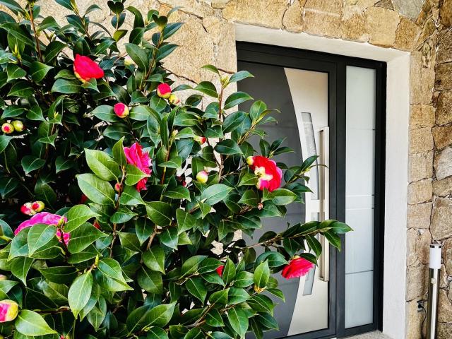 Villa vente à Calvi