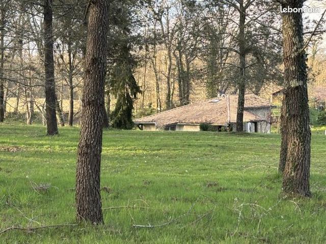 Maison vente à Pujo-le-plan