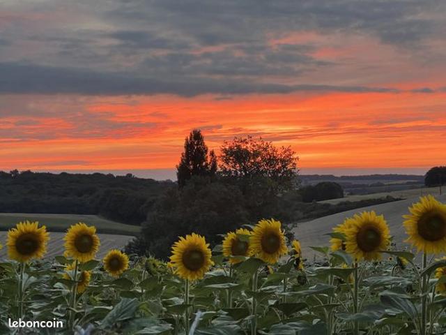 Maison vente à Cognac, Nouvelle-Aquitaine