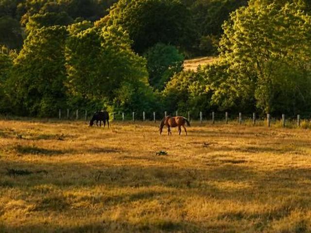 Maison vente à Lisieux, Le Pré-d'auge