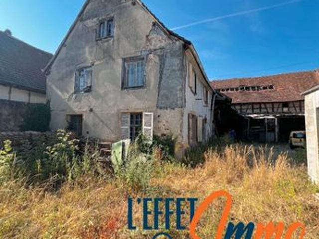 Maison vente à Colmar-Ribeauvillé, Sainte-croix-en-plaine