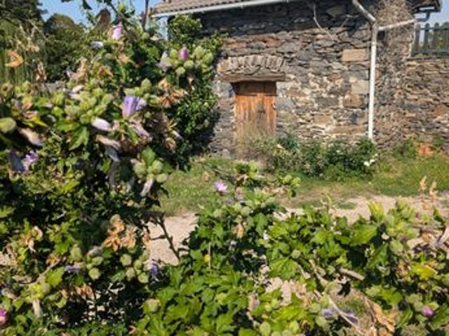 Maison vente à Yssingeaux, Saint-julien-du-pinet