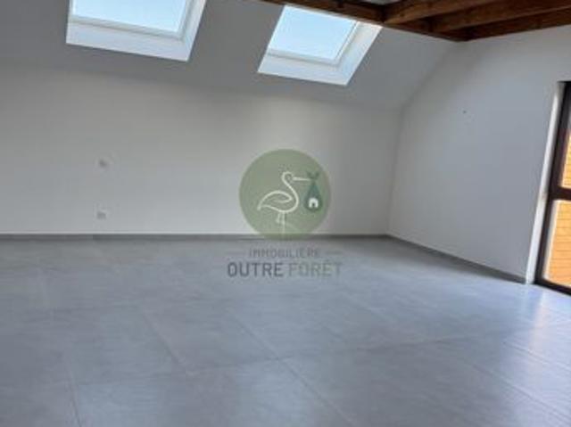 Maison vente à Haguenau-Wissembourg, Wittersheim
