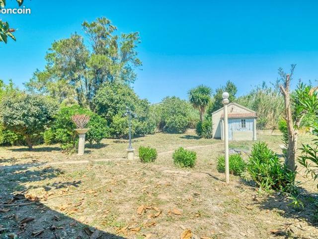 Maison vente à Bastia, Tomino