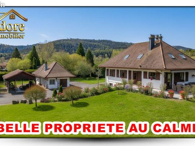 Maison vente à Saint-Dié-des-Vosges, Saint-michel-sur-meurthe