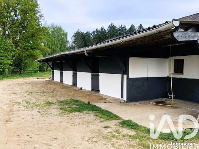 Maison vente à Mamers, Dollon
