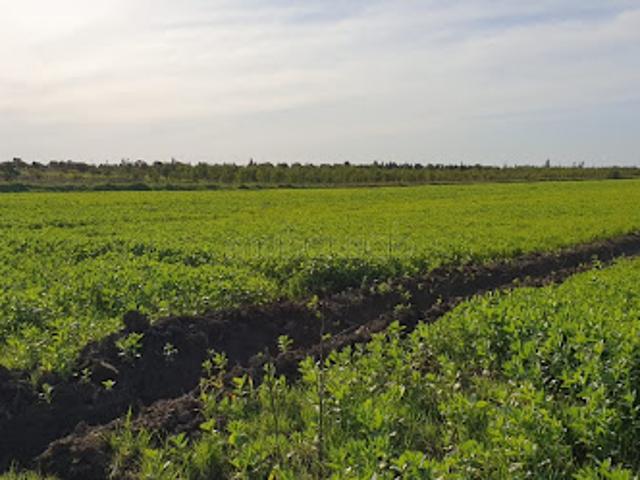 Propriété vente à Larache, Tanger-Tétouan